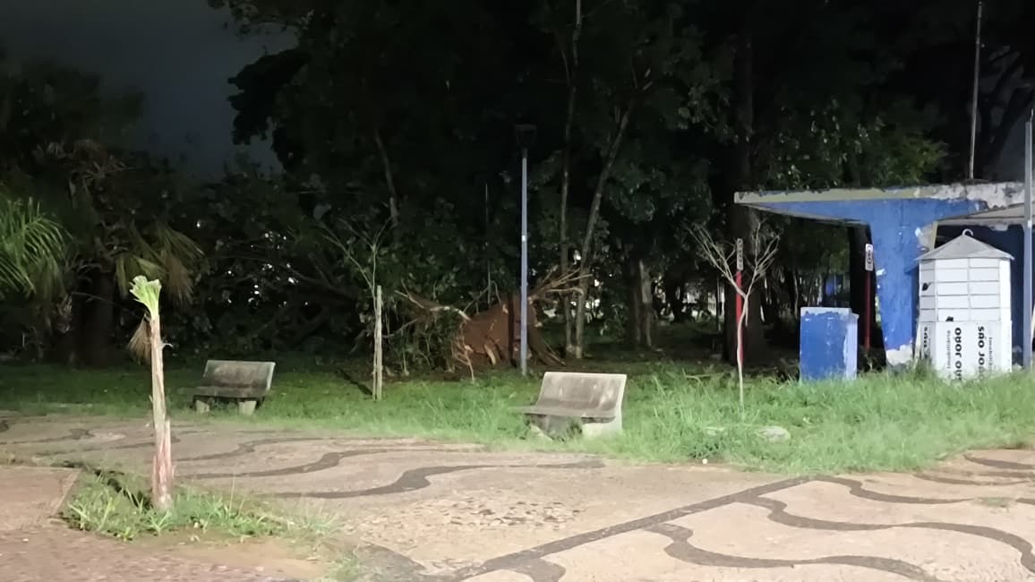 Foto 59 de 67 — TEMPORAL EM FOTOS: veja imagens de destruição em Araraquara